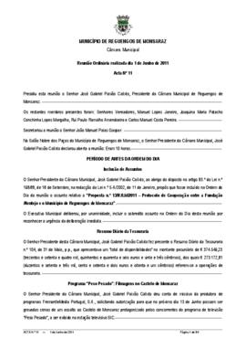 Acta n.º 11 (2011) do mandato 2009-2013